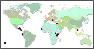 Kiva partners around the world